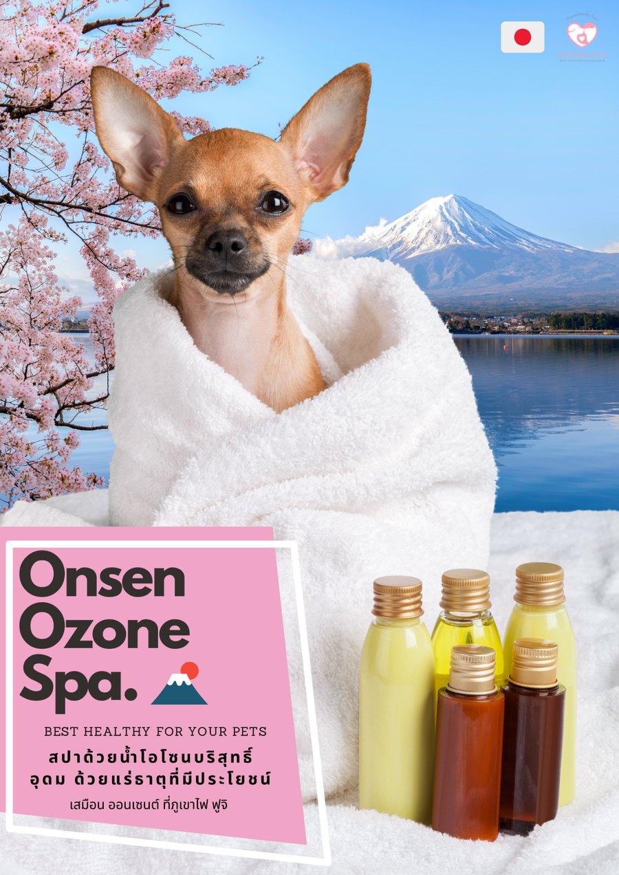 โปสเตอร์ Onsen Ozone Spa สปาน้ำโอโซนผสมแร่ธาตุ Japan Salt — Nippon Pets นนทบุรี