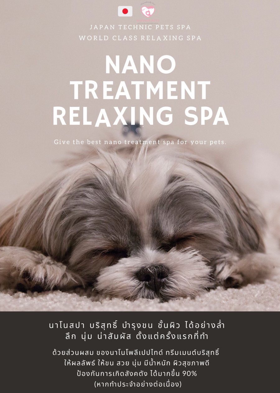 ชิสุหลับสบายหลังทำ Nano Treatment Relaxing Spa — Nippon Pets นนทบุรี